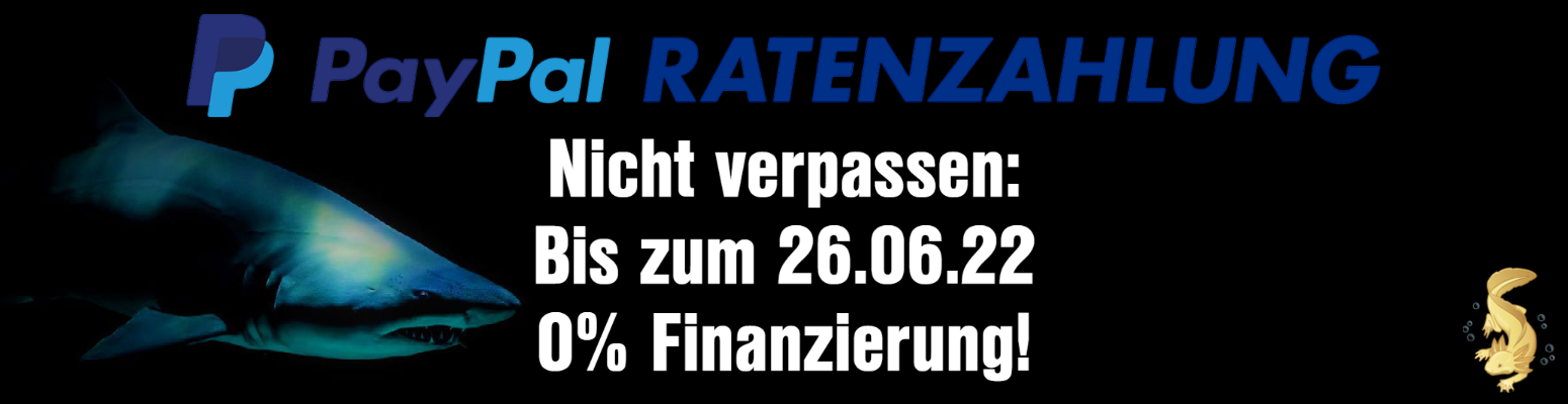 PayPal Ratenzahlung - 0% Finanzierung! 